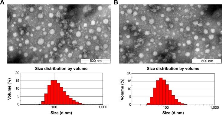 https://cdn.ncbi.nlm.nih.gov/pmc/blobs/d428/4376263/bf00ca28e8e4/ijn-10-2295Fig7.jpg