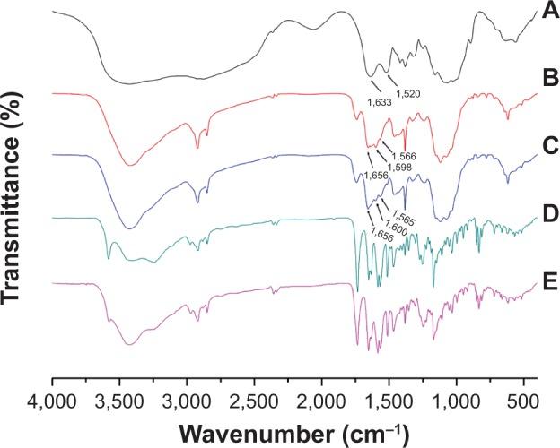 https://cdn.ncbi.nlm.nih.gov/pmc/blobs/d428/4376263/ecaf5ddb313c/ijn-10-2295Fig4.jpg