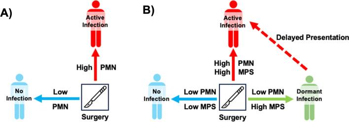 https://cdn.ncbi.nlm.nih.gov/pmc/blobs/d42b/11575056/a56f78520038/12967_2024_5866_Fig1_HTML.jpg
