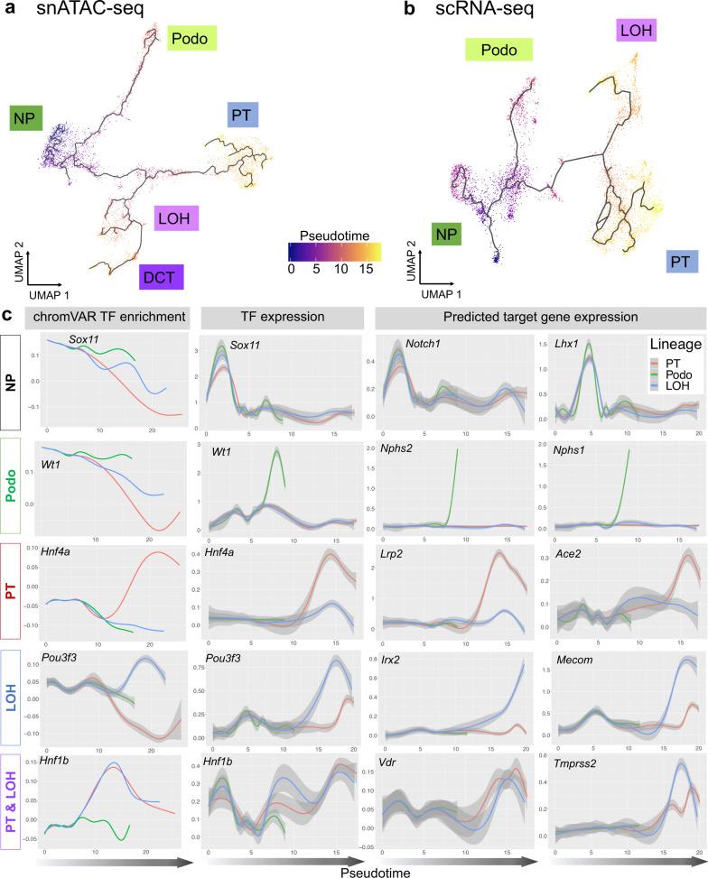 https://cdn.ncbi.nlm.nih.gov/pmc/blobs/d42f/8050063/599685a8e2c2/41467_2021_22266_Fig3_HTML.jpg