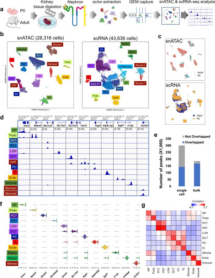 https://cdn.ncbi.nlm.nih.gov/pmc/blobs/d42f/8050063/890946860b6d/41467_2021_22266_Fig1_HTML.jpg