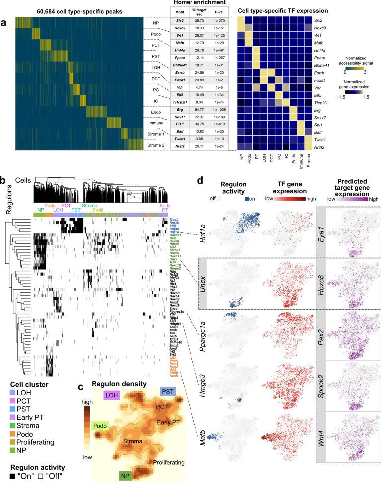 https://cdn.ncbi.nlm.nih.gov/pmc/blobs/d42f/8050063/da0e34065305/41467_2021_22266_Fig2_HTML.jpg