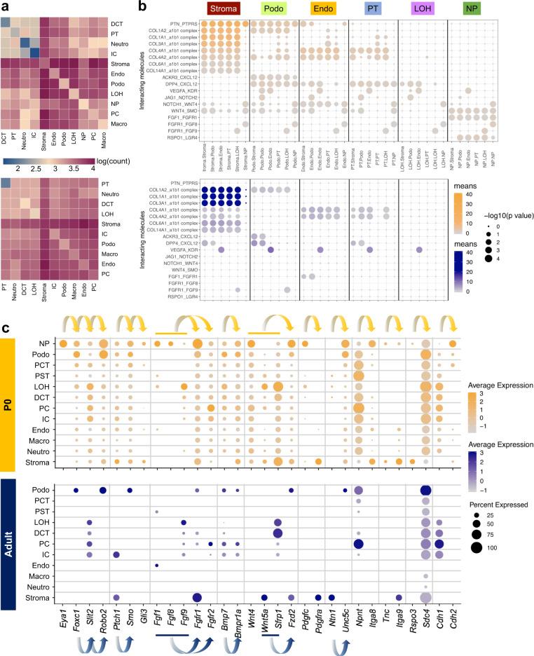 https://cdn.ncbi.nlm.nih.gov/pmc/blobs/d42f/8050063/eebe5c5925f8/41467_2021_22266_Fig5_HTML.jpg