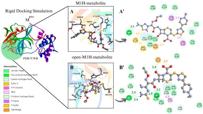 https://cdn.ncbi.nlm.nih.gov/pmc/blobs/d431/12031345/541afd145a55/viruses-17-00491-g004a.jpg
