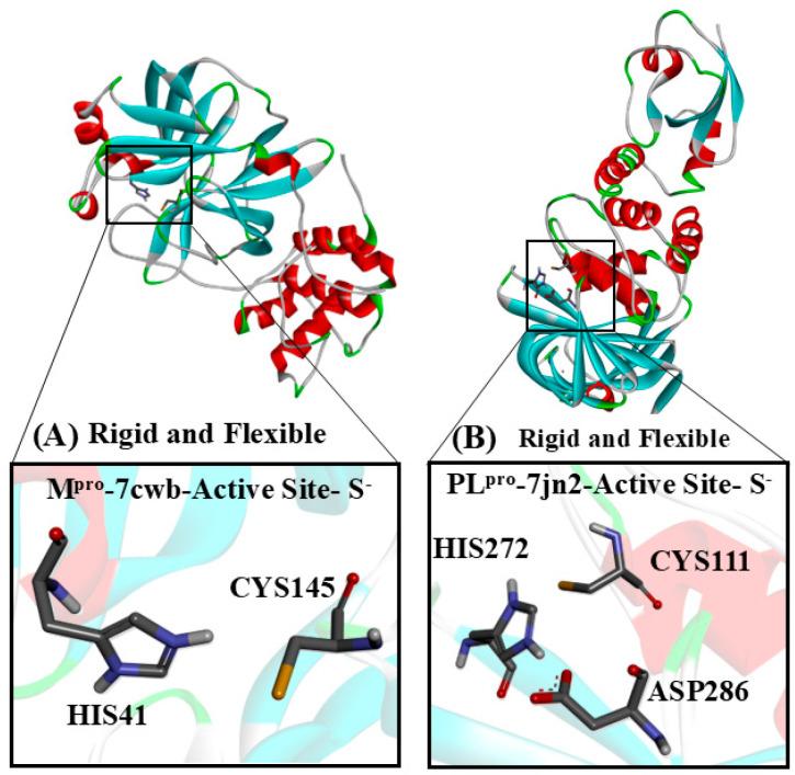 https://cdn.ncbi.nlm.nih.gov/pmc/blobs/d431/12031345/ad07cc046b2b/viruses-17-00491-g003.jpg