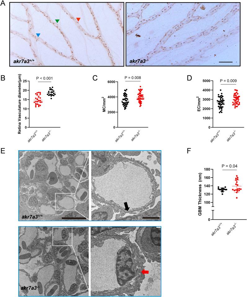 https://cdn.ncbi.nlm.nih.gov/pmc/blobs/d432/12051060/edbf82a3ed57/gr3.jpg