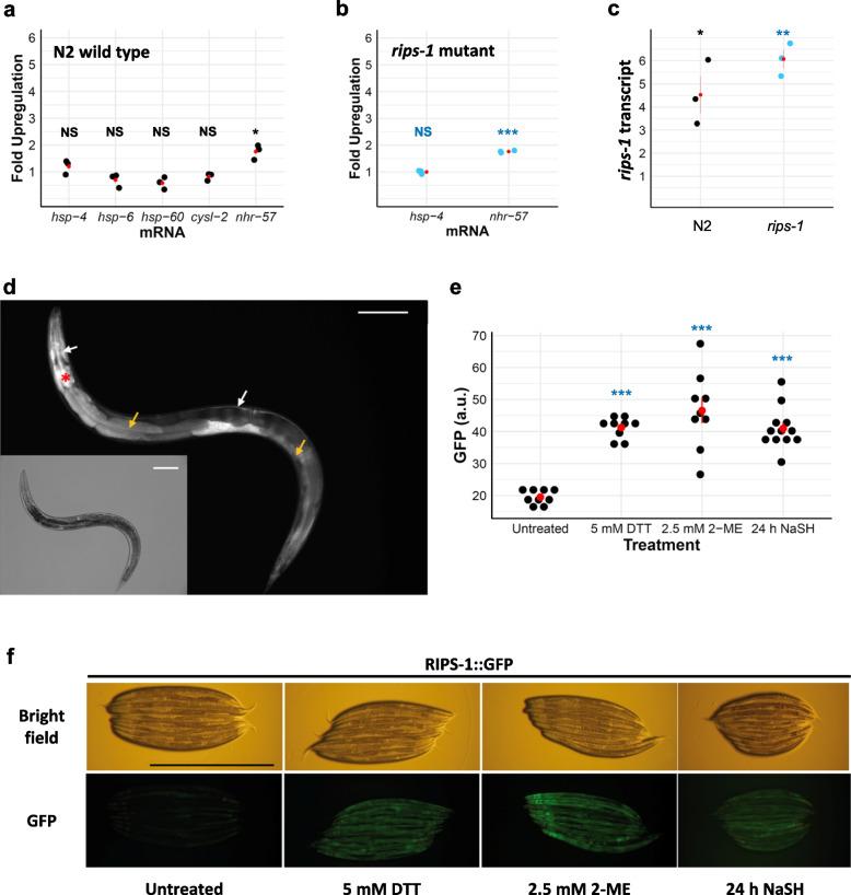https://cdn.ncbi.nlm.nih.gov/pmc/blobs/d433/9548181/08c1d5f0dcae/12915_2022_1415_Fig4_HTML.jpg