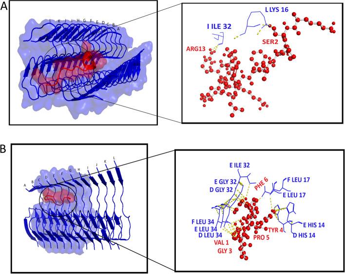 https://cdn.ncbi.nlm.nih.gov/pmc/blobs/d435/11414172/536c8550458d/12864_2024_10695_Fig4_HTML.jpg