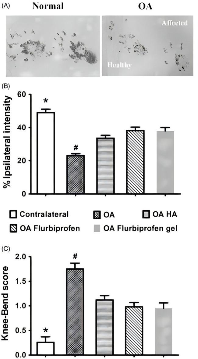 https://cdn.ncbi.nlm.nih.gov/pmc/blobs/d435/12018437/42934b878125/fbioe-13-1561708-g001.jpg