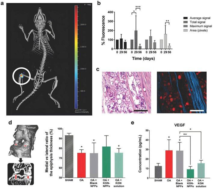 https://cdn.ncbi.nlm.nih.gov/pmc/blobs/d435/12018437/4634b6c4ff92/fbioe-13-1561708-g003.jpg