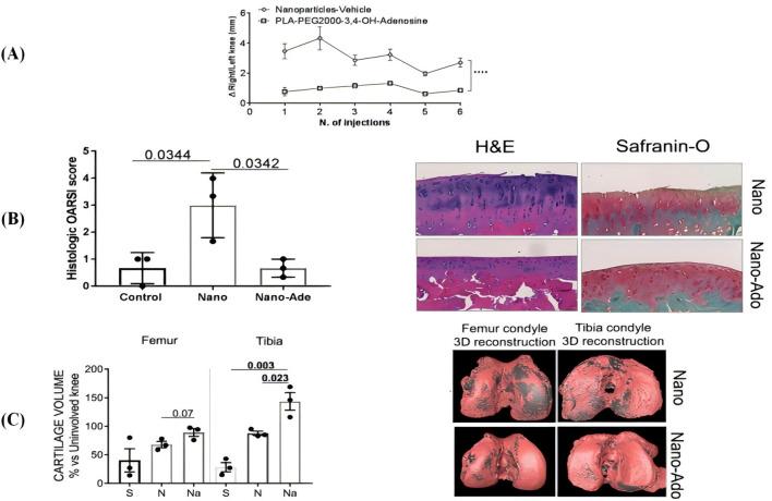 https://cdn.ncbi.nlm.nih.gov/pmc/blobs/d435/12018437/aaa791cf2f3c/fbioe-13-1561708-g002.jpg