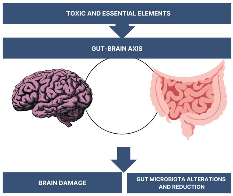 https://cdn.ncbi.nlm.nih.gov/pmc/blobs/d436/11050856/6985f8e6795c/jcm-13-02381-g002.jpg