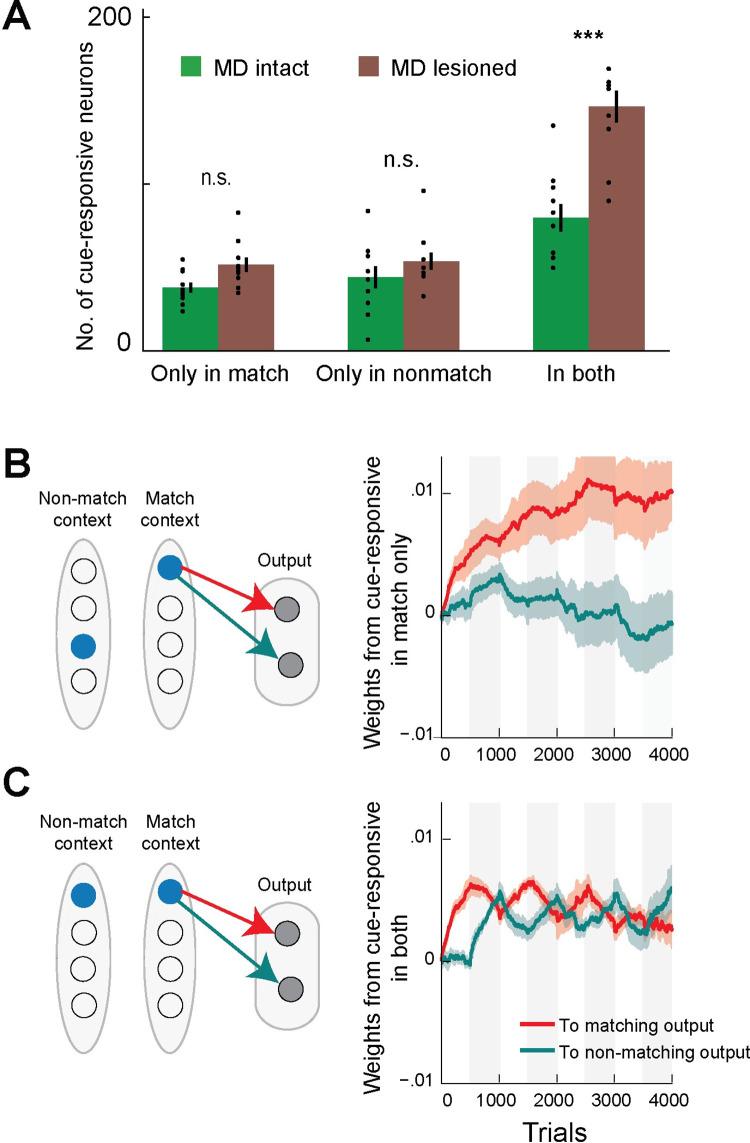 https://cdn.ncbi.nlm.nih.gov/pmc/blobs/d438/9499289/4ecdf7322945/pcbi.1010500.g004.jpg