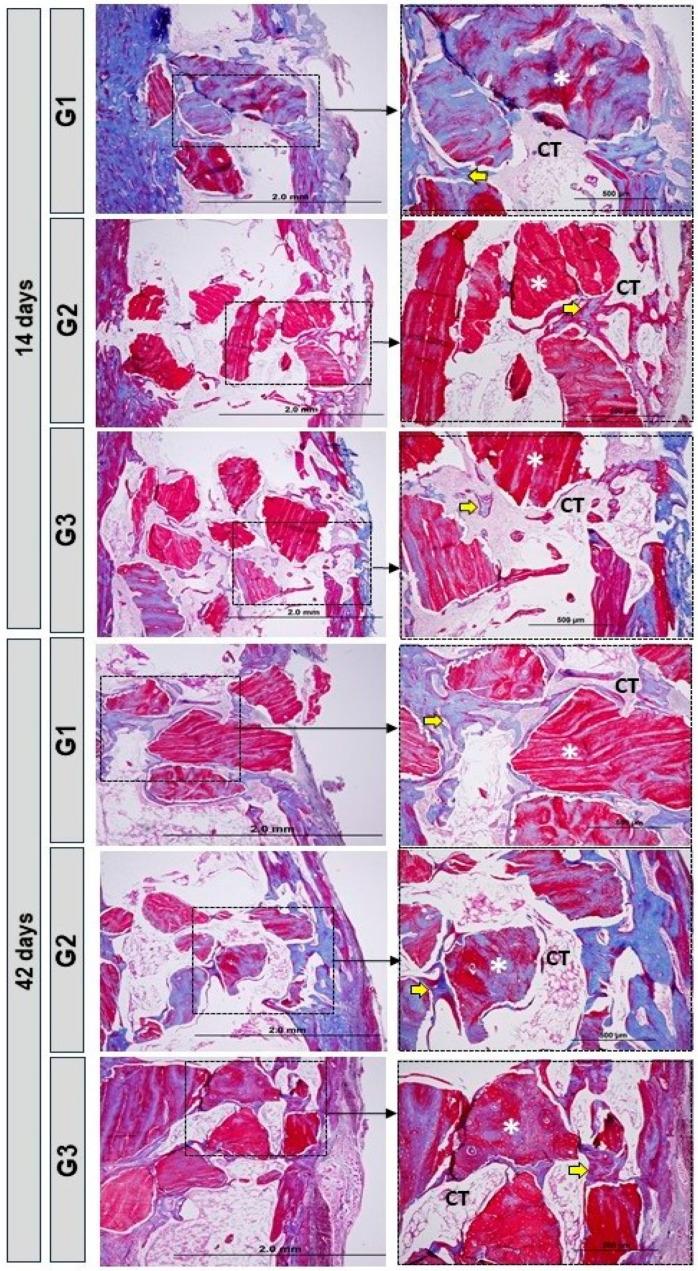 https://cdn.ncbi.nlm.nih.gov/pmc/blobs/d439/10813421/92efe6e3c158/bioengineering-11-00078-g004.jpg