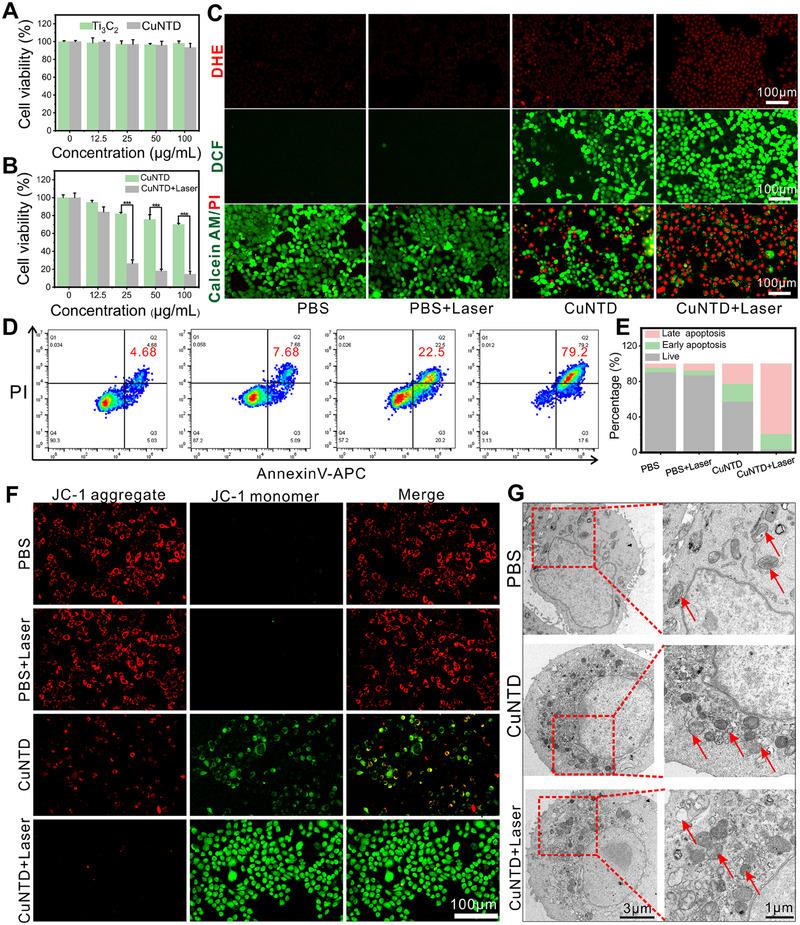 https://cdn.ncbi.nlm.nih.gov/pmc/blobs/d43a/12199402/b1778adc478a/EXP2-5-20240275-g001.jpg
