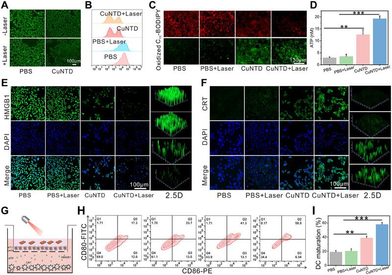 https://cdn.ncbi.nlm.nih.gov/pmc/blobs/d43a/12199402/c8e3db170b2d/EXP2-5-20240275-g008.jpg