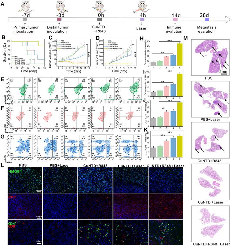 https://cdn.ncbi.nlm.nih.gov/pmc/blobs/d43a/12199402/eadb376d5256/EXP2-5-20240275-g007.jpg