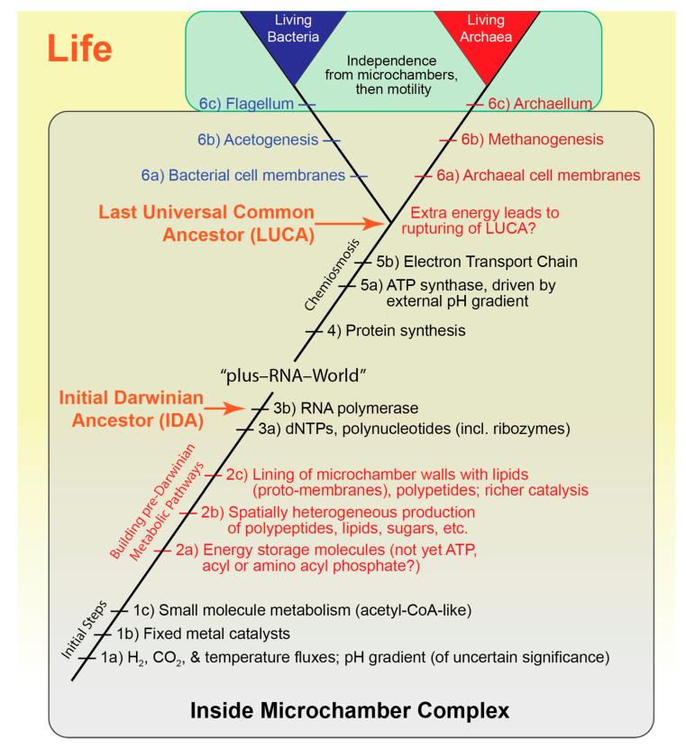 https://cdn.ncbi.nlm.nih.gov/pmc/blobs/d440/8306273/8d3a6ab714d5/life-11-00690-g004.jpg