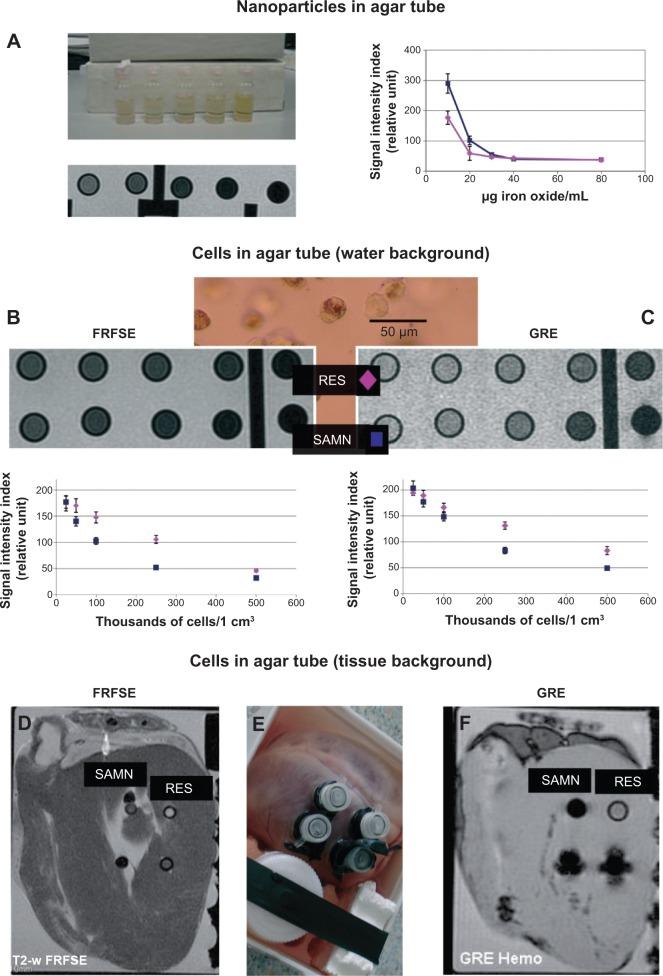 https://cdn.ncbi.nlm.nih.gov/pmc/blobs/d441/4245086/27828a2cd229/ijn-9-5355Fig1.jpg