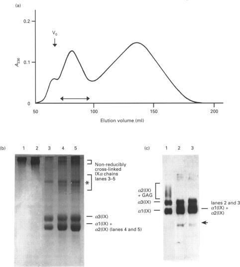 https://cdn.ncbi.nlm.nih.gov/pmc/blobs/d442/1138299/cfb22fdc4725/biochemj00089-0179-a.jpg