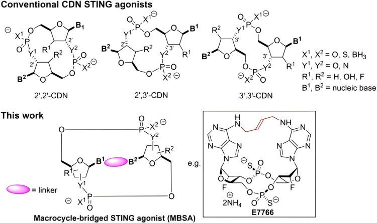 https://cdn.ncbi.nlm.nih.gov/pmc/blobs/d442/11721825/53688615dd97/IJN-20-181-g0002.jpg