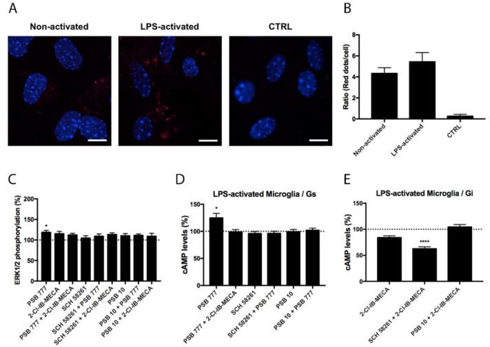 https://cdn.ncbi.nlm.nih.gov/pmc/blobs/d446/8869194/7f19d145b304/biomedicines-10-00214-g004.jpg