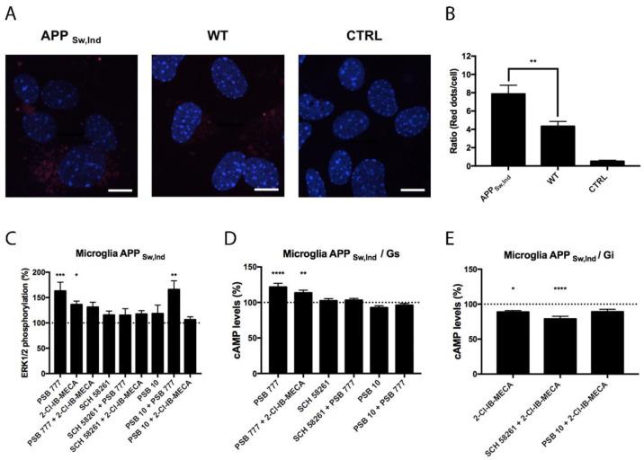 https://cdn.ncbi.nlm.nih.gov/pmc/blobs/d446/8869194/cf81195f3def/biomedicines-10-00214-g005.jpg