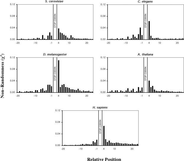 https://cdn.ncbi.nlm.nih.gov/pmc/blobs/d448/1435984/c627800dfa72/gkl074f2.jpg