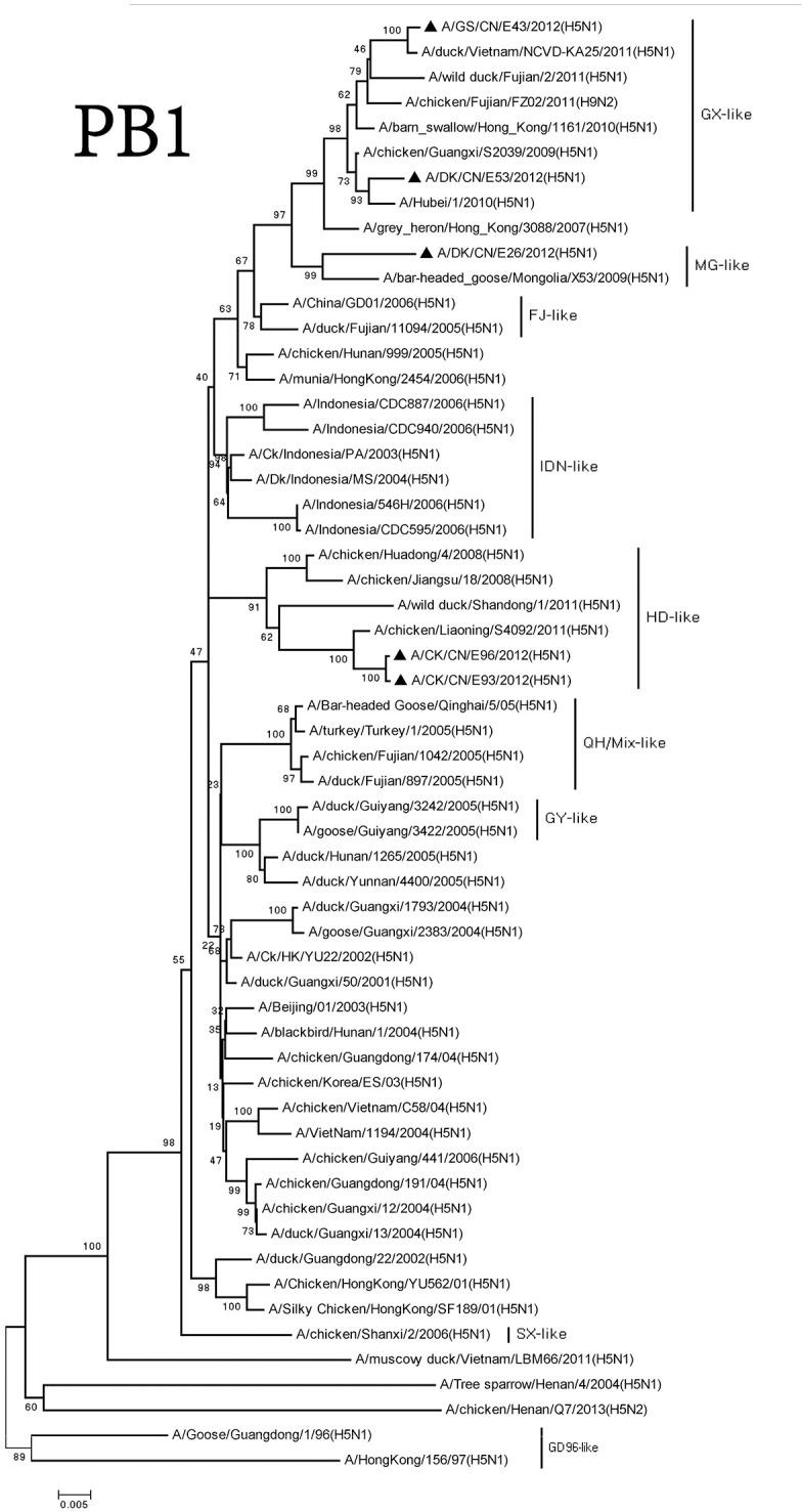 https://cdn.ncbi.nlm.nih.gov/pmc/blobs/d449/5515836/0e20e0f9c408/fcimb-07-00328-g0004.jpg