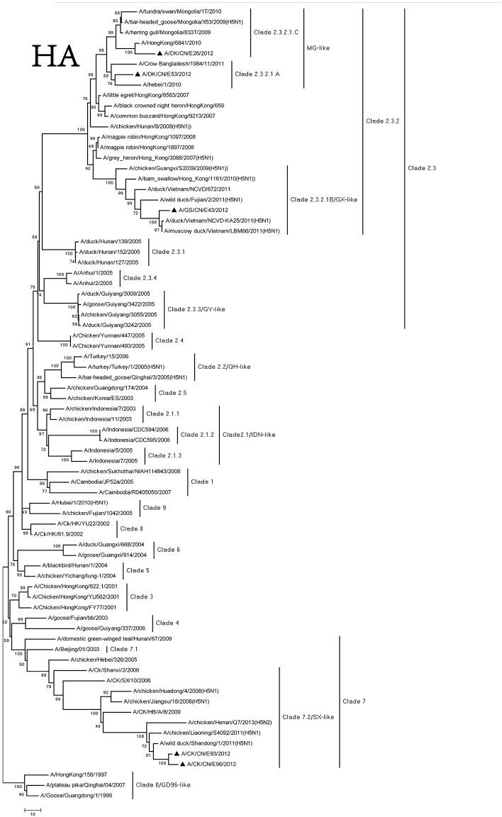 https://cdn.ncbi.nlm.nih.gov/pmc/blobs/d449/5515836/2447a79d2768/fcimb-07-00328-g0001.jpg