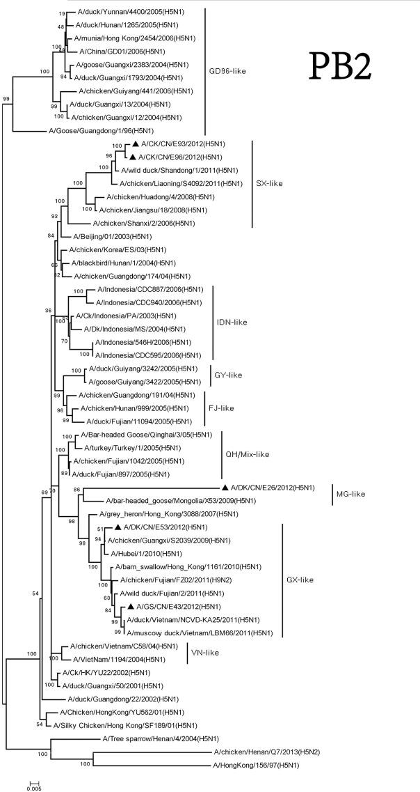 https://cdn.ncbi.nlm.nih.gov/pmc/blobs/d449/5515836/a7e09d83c575/fcimb-07-00328-g0005.jpg