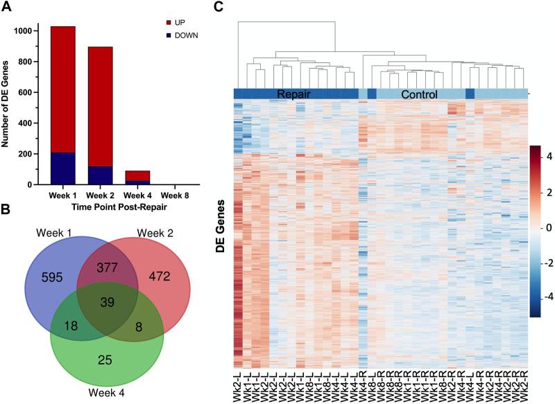 https://cdn.ncbi.nlm.nih.gov/pmc/blobs/d44b/10203179/e735ba26ec62/fphys-14-1164055-g002.jpg