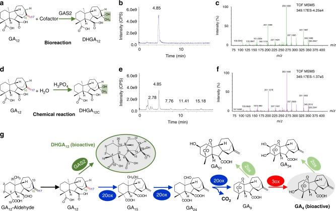 https://cdn.ncbi.nlm.nih.gov/pmc/blobs/d44b/6467921/d8180edaf623/41467_2019_9467_Fig4_HTML.jpg