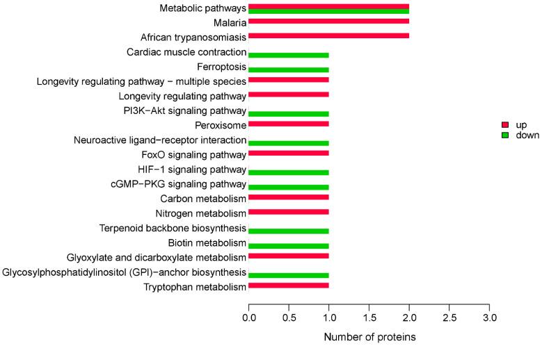 https://cdn.ncbi.nlm.nih.gov/pmc/blobs/d44b/9230633/b2ebf51171de/molecules-27-03880-g004.jpg
