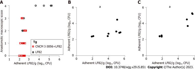 https://cdn.ncbi.nlm.nih.gov/pmc/blobs/d44c/9932430/36a81773a6b5/WJG-29-851-g009.jpg