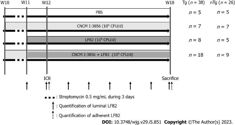 https://cdn.ncbi.nlm.nih.gov/pmc/blobs/d44c/9932430/62fdf4494fe1/WJG-29-851-g001.jpg
