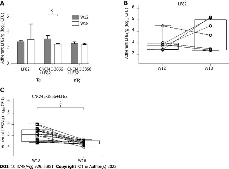 https://cdn.ncbi.nlm.nih.gov/pmc/blobs/d44c/9932430/dd2d8447c140/WJG-29-851-g007.jpg