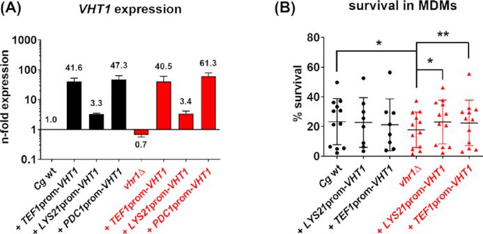 https://cdn.ncbi.nlm.nih.gov/pmc/blobs/d44f/7787354/18f07c4646ec/foaa066fig3.jpg
