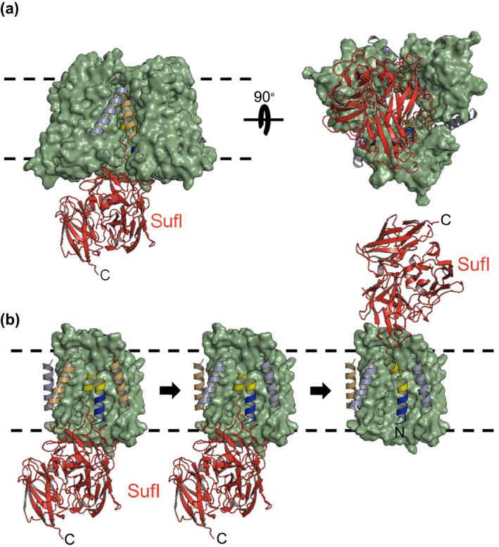 https://cdn.ncbi.nlm.nih.gov/pmc/blobs/d450/7317946/6a7f64c92a0f/MMI-113-861-g005.jpg