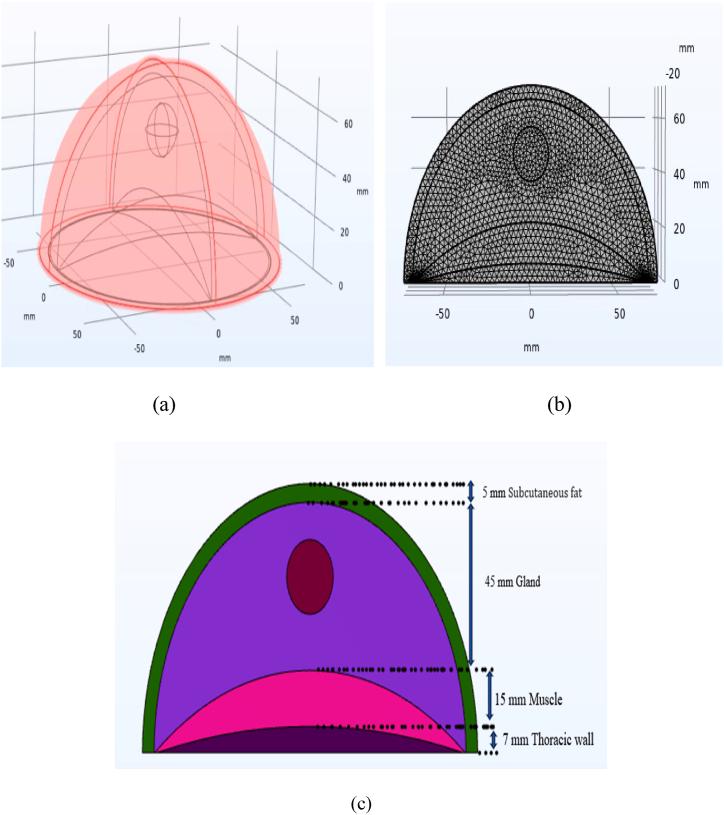 https://cdn.ncbi.nlm.nih.gov/pmc/blobs/d451/11305304/6a90c3165c2f/gr1.jpg