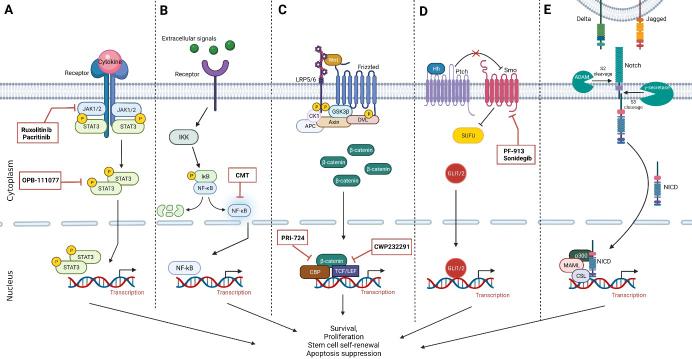 https://cdn.ncbi.nlm.nih.gov/pmc/blobs/d451/9255252/28e44f577a08/cdr-5-2-344.fig.1.jpg