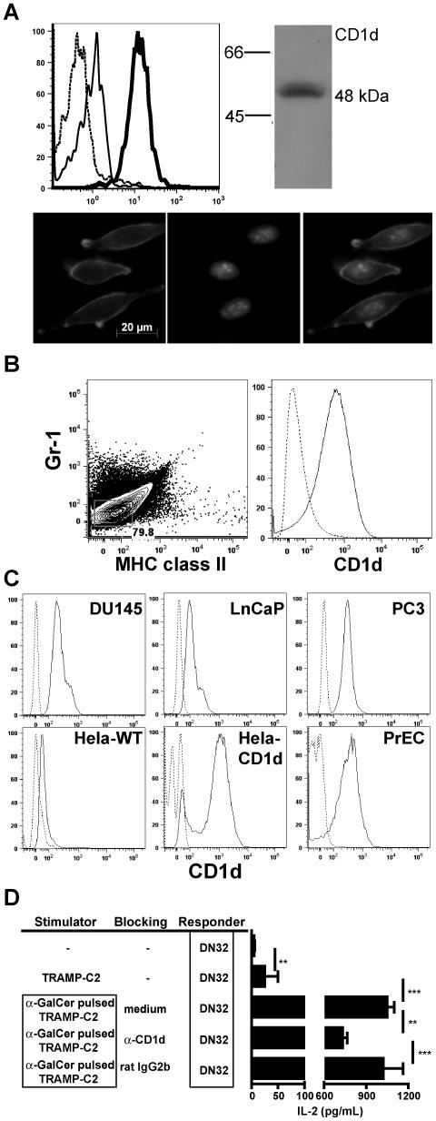 https://cdn.ncbi.nlm.nih.gov/pmc/blobs/d452/2892484/e0479f476ef7/pone.0011311.g003.jpg