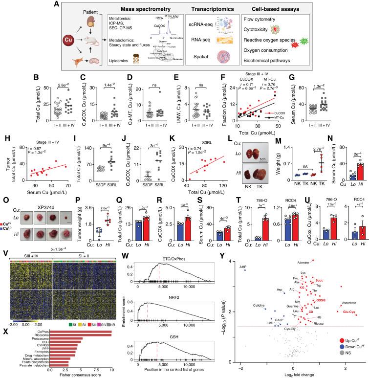 https://cdn.ncbi.nlm.nih.gov/pmc/blobs/d454/11803400/206f07d32185/cd-24-0187fig1.jpg