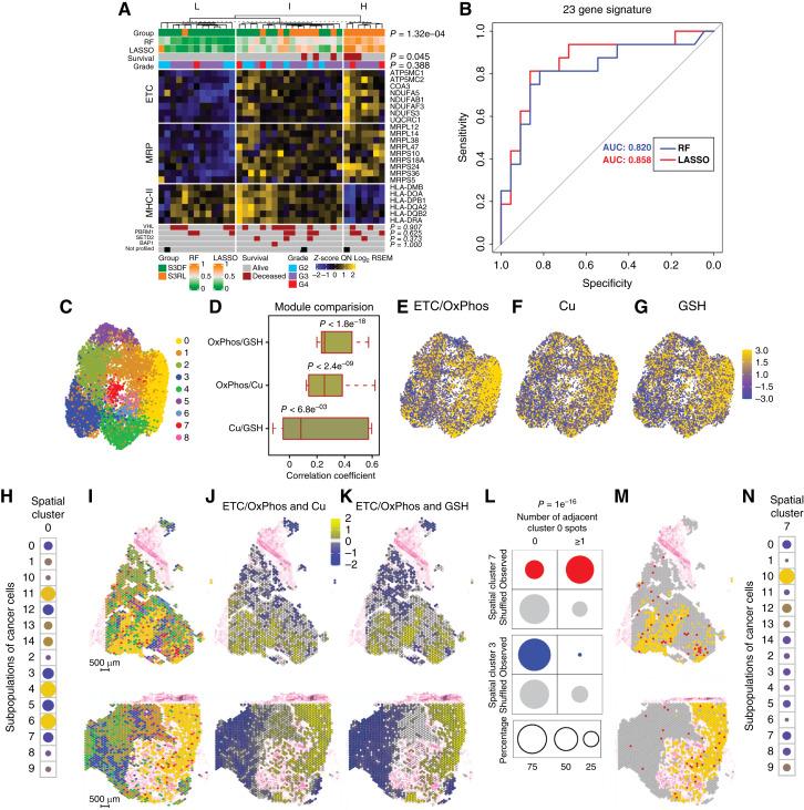 https://cdn.ncbi.nlm.nih.gov/pmc/blobs/d454/11803400/597bae001d7b/cd-24-0187fig7.jpg