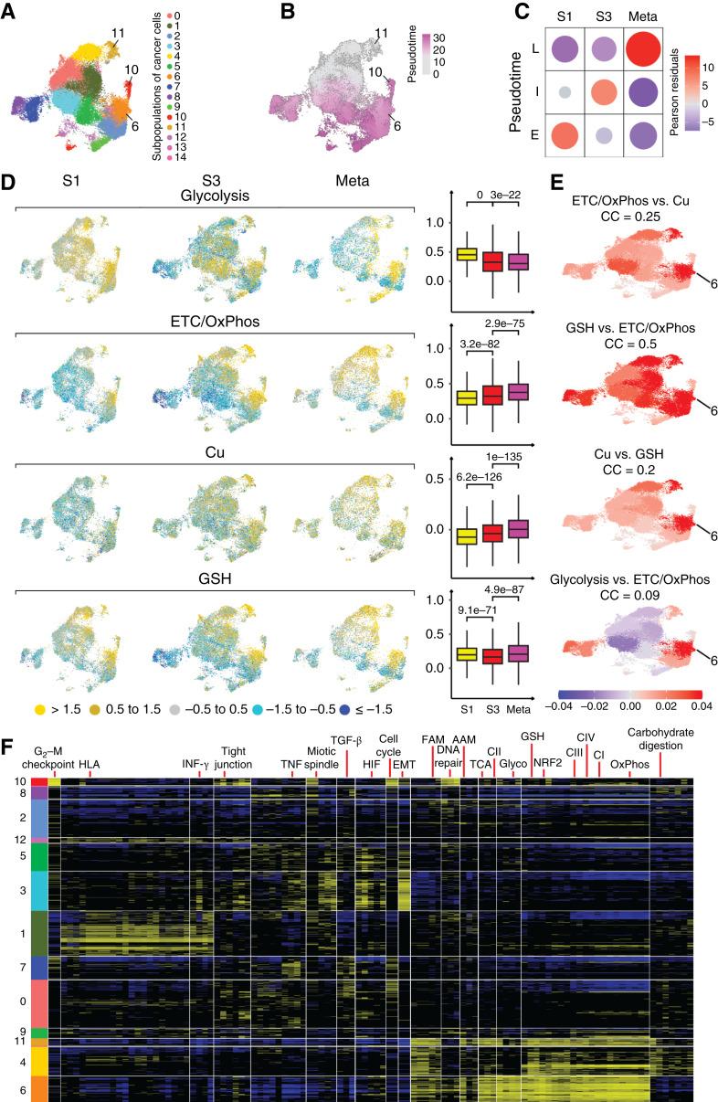 https://cdn.ncbi.nlm.nih.gov/pmc/blobs/d454/11803400/95f940ba5818/cd-24-0187fig6.jpg