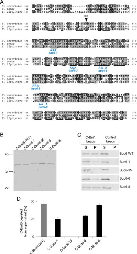 https://cdn.ncbi.nlm.nih.gov/pmc/blobs/d454/3204064/3b96ea6ac51e/4016fig3.jpg