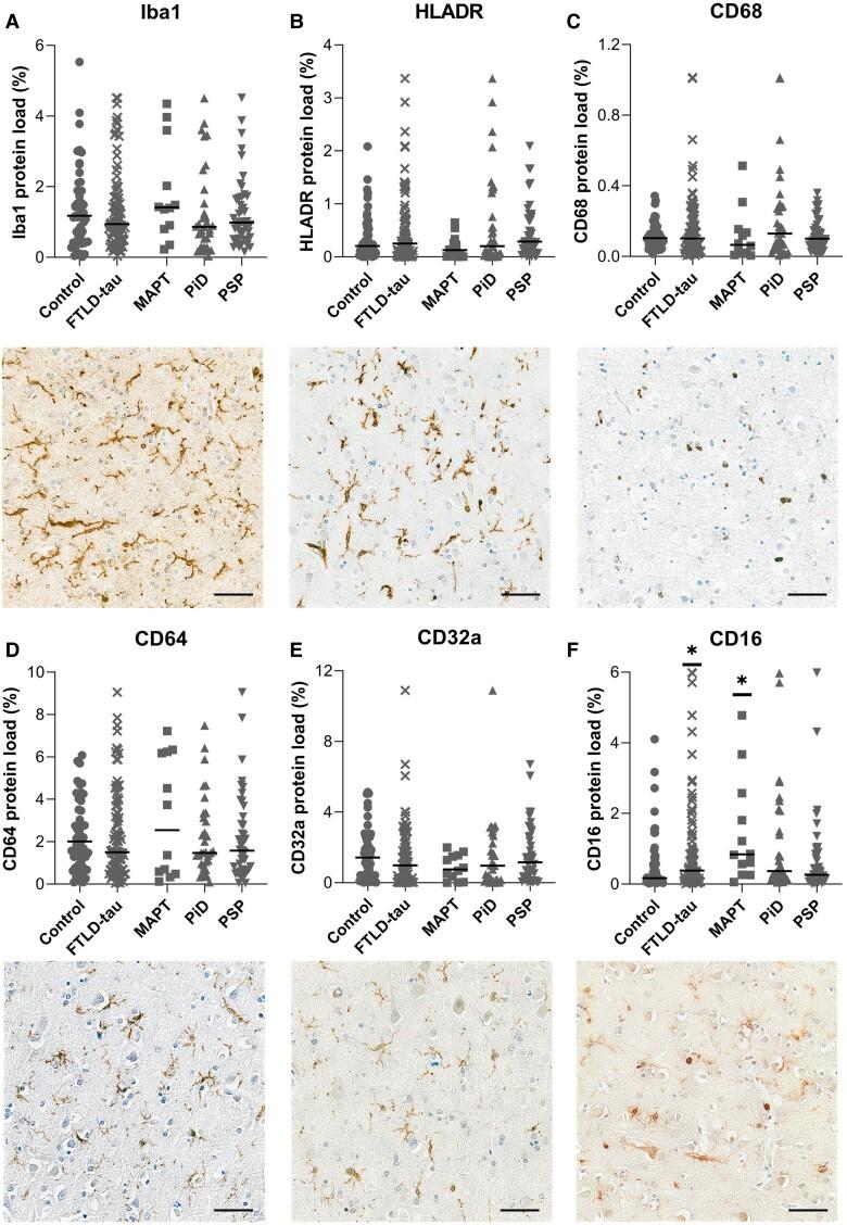 https://cdn.ncbi.nlm.nih.gov/pmc/blobs/d455/10834257/1071ec86ddf7/awad309f4.jpg