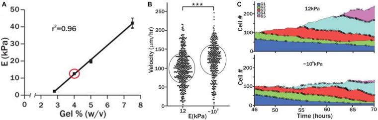 https://cdn.ncbi.nlm.nih.gov/pmc/blobs/d455/7767888/3082d8c2412d/fbioe-08-597661-g003.jpg