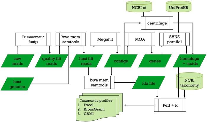 https://cdn.ncbi.nlm.nih.gov/pmc/blobs/d455/7772471/41fd2622747c/veaa091f1.jpg