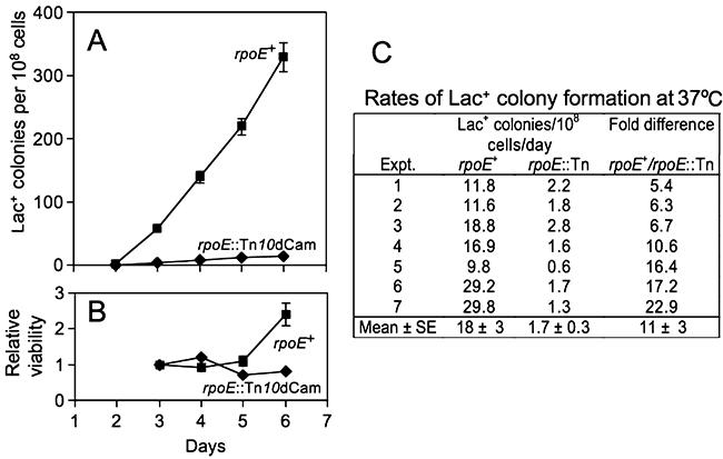 https://cdn.ncbi.nlm.nih.gov/pmc/blobs/d457/2916218/6d9336e340fc/mmi0077-0415-f3.jpg